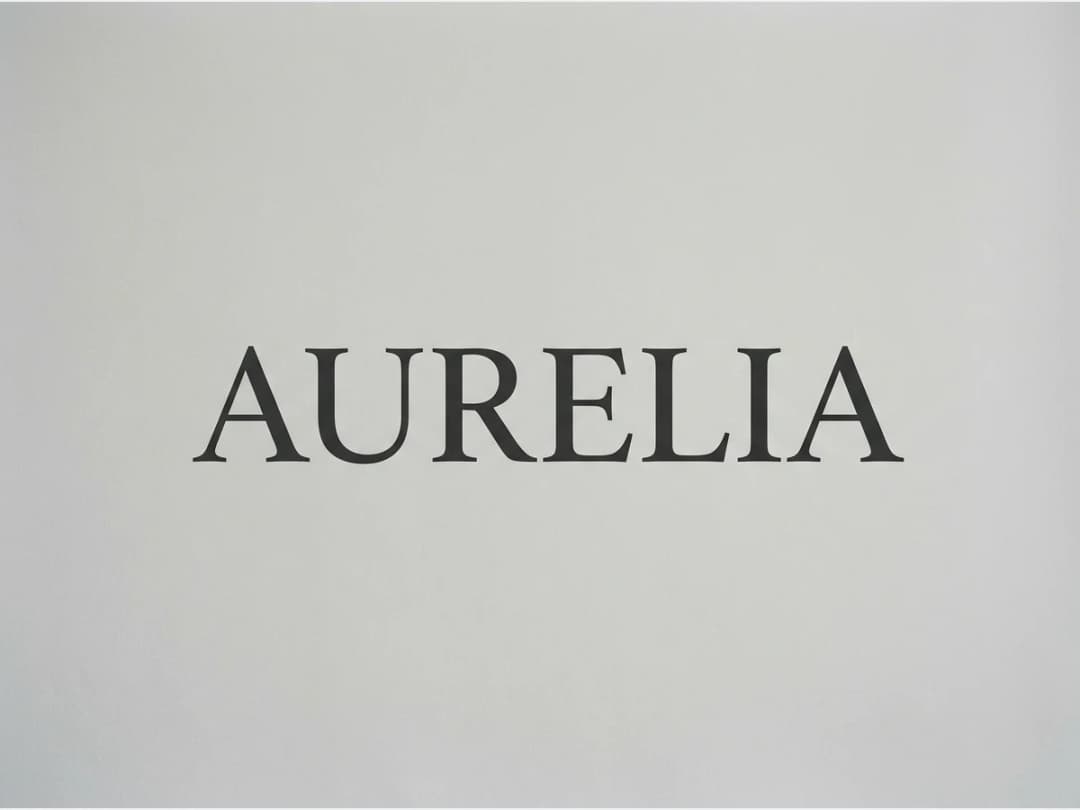 a fashion brand logotype on a plain ground, a serif wordmark